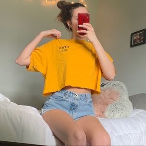 Cropped Iowa Hawkeye Champion tee shirt